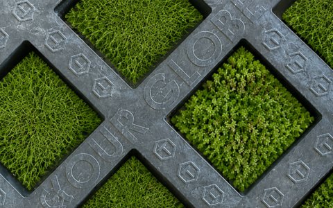 TAWWA Grid (Gras Sedum)