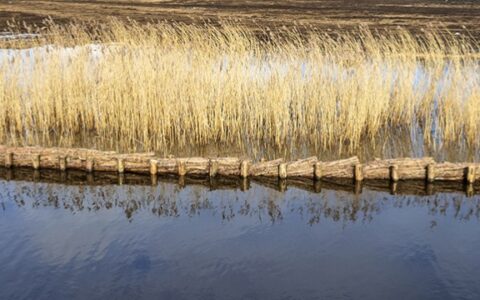 Rijshouten beschoeiing-Van Aalsburg header