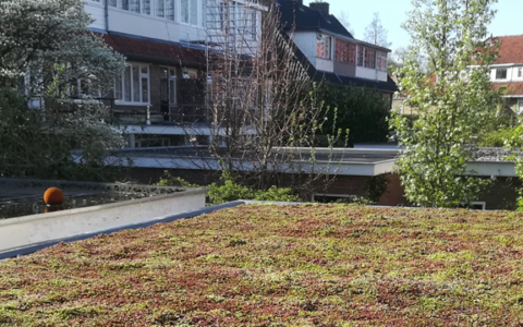 Greenmakers-Sedumdak schuur header
