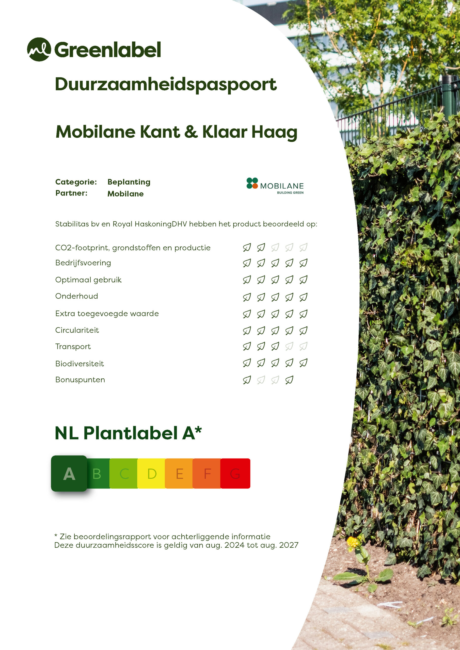 DP'24 Mobilane-Kant en klaar haag